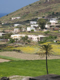 Buy Hillside Houses Amongst Fields and Crops at AllPosters.com