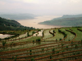Buy Terraced Rice Fields in Fuling-Chongqing at AllPosters.com