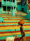 Buy Goat Following Man Carrying Laundry at AllPosters.com