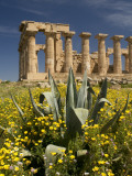 Buy Selinunte Temple Ruin at AllPosters.com