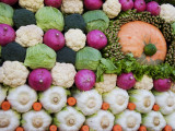 Vegetable Display at Yoyogi Park Agricultural Festival