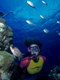 Buy Diver Looking at Squirrelfish (Holocentrus Adscensionis) on Voral Head at AllPosters.com
