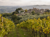 Buy Vineyards in Hamlet of Castello Di Volpaia, Near Radda in Chianti at AllPosters.com