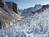 Buy Winter in Yosemite National Park at AllPosters.com