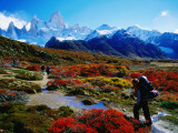 Trekkers Walking Through Autumnal Foliage Towards Monte Fitz Roy