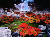 Buy Autumnal Foliage Beneath the Glacier Piedras Blancas at AllPosters.com
