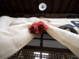 Temple Entrance with Hanging Curtain