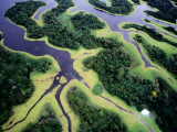 Overhead of Rio Negro
