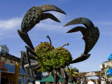 Crab Art on Pier 39