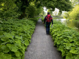 Walking the Route of the Roman-Era Antonine Wall