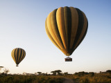 Hot Air Balloons at Dawn
