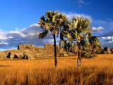 Buy Landscape in Late Afternoon Light at AllPosters.com