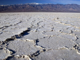 Salt Plates with Panamint Range in Distance, Death Valley, Californi