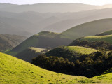 Spring Hills in Carmel Valley