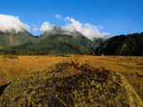 Buy Lava Fields at Baru Volcano at AllPosters.com