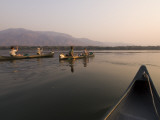 Canoe Safari, Zambezi River