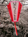 Hanami Along the Meguro-Gawa Photographic Print