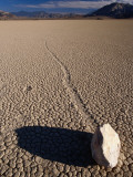 Ractrack Playa Mysterious Racing Rock, Most Likely Driven by Wind When Playa Is Wet