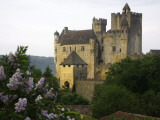 Chateau of Beynac with Lilac Bush in Foreground Photographic Print