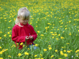 Girl Sitting in Dandelion Field Near Sr. Radovna