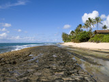 Buy Kawela Coastline at Low Tide at AllPosters.com