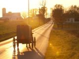 Buy Horse and Buggy in Amish Community at AllPosters.com