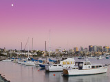 Moonrise and San Diego Skyline at Twilight