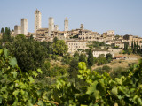 Buy Towers of San Gimignano with Grapevines Producing Vernaccia Di San Gimignano Wine in Foreground at AllPosters.com