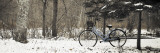 Buy Bike on Snowy Trail in Hokkaido University Forest at AllPosters.com