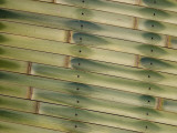 Detail of Traditional Building