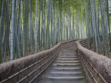 Stairway Through Bamboo Grove Above Adashino Nembutsu-Ji Temple