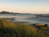 Fish Traps in Kosi Bay Mouth