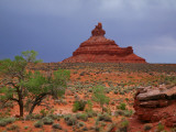 Lone Tree with Rock Formations in Desert Landscape with Storm Clouds in Valley of the Gods