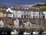 Town Harbour with Yachts