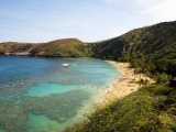 Coral Reef and Beach at Hanauma Bay