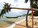 Beach on Northern Coast