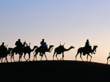Desert Just Outside Timbuktu, Tuareg Camels at Sunset