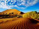 Buy Sand Dunes in Namib Desert Park at AllPosters.com