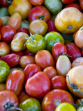 Red, Yellow and Green Tomatoes