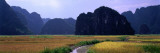 Rover Road with Mountains in Background