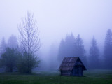 Wooden Barn and Trees with Dawn Mist Near Southern Shore of Lake Bohinj