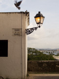 Pigeons Above Street Lamp in Parque De Las Palomas in Old San Juan
