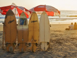 Surfboards on Lighthouse Beach in Late Afternoon Sunlight