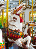 Carousel Horses at Yerba Buena Center for the Arts