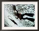 A Diver in a Santa Clause Costume Feeds Fish as Part of a Christmas Event