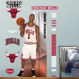 Buy Derrick Rose Growth Chart &nbsp; at AllPosters.com