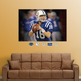 Buy Peyton Manning Closeup Mural at AllPosters.com