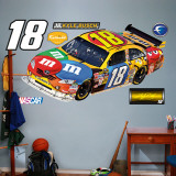 Buy Kyle Busch 2009 Car at AllPosters.com