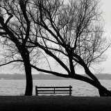 Buy Yearning at AllPosters.com