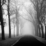 Buy The Foggy Lane at AllPosters.com